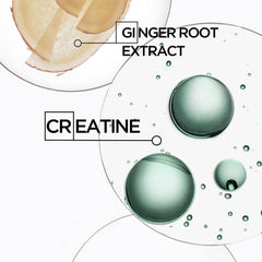 Genesis Homme Bain De Force Quotidien Shampoo