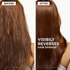 Première Limited-Edition Haircare Gift Set